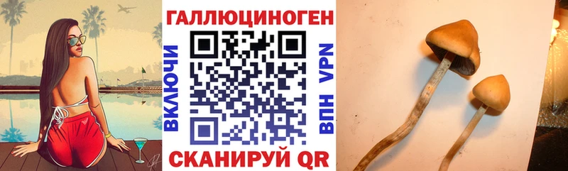Галлюциногенные грибы мицелий Покачи